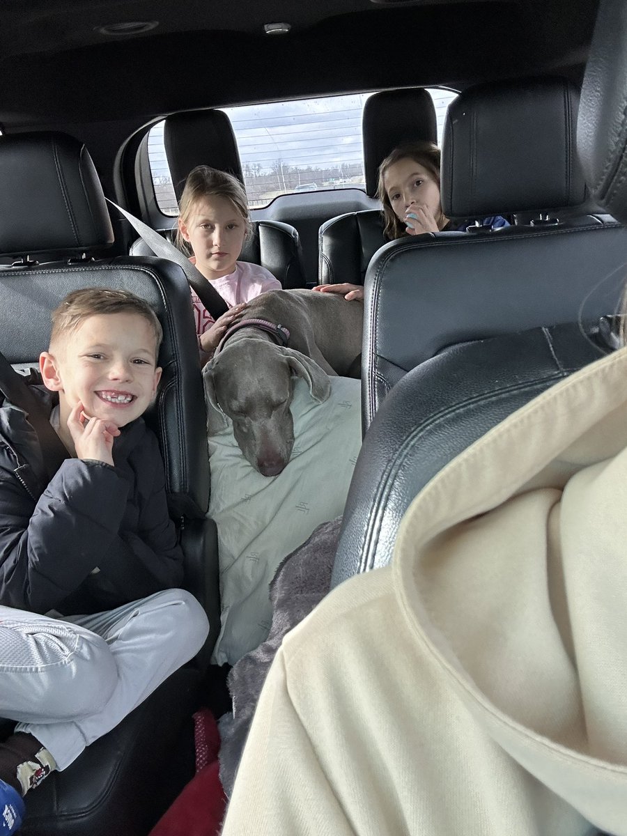 gardnerbarry8's tweet photo. Excited to welcome a new addition to the family today! We officially brought home Casey! #weim https://t.co/EfLosyy0NH