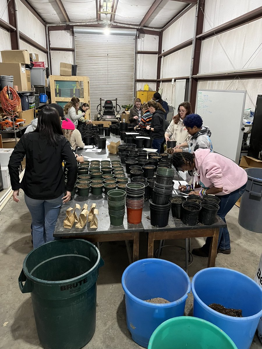 Grace Flusche Ogden tweet media