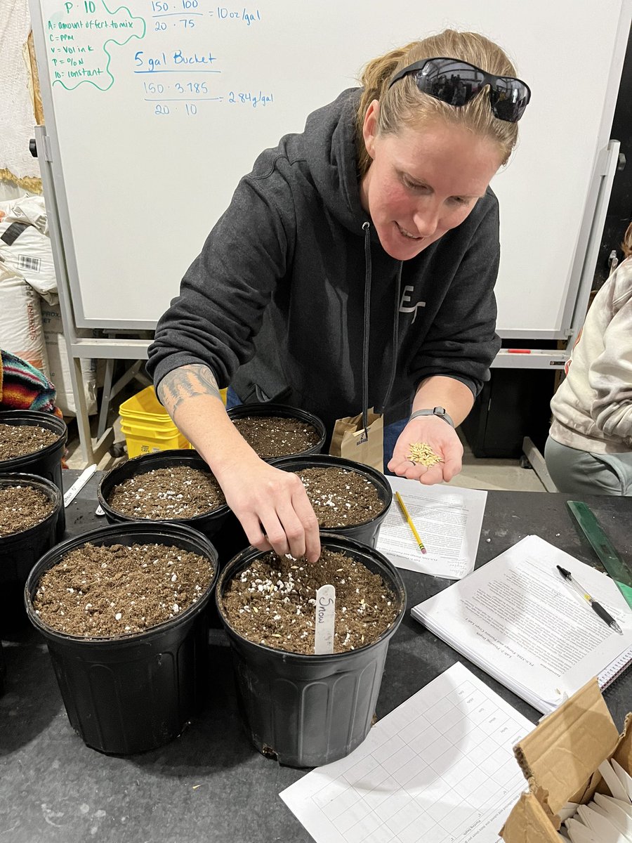 Grace Flusche Ogden tweet media