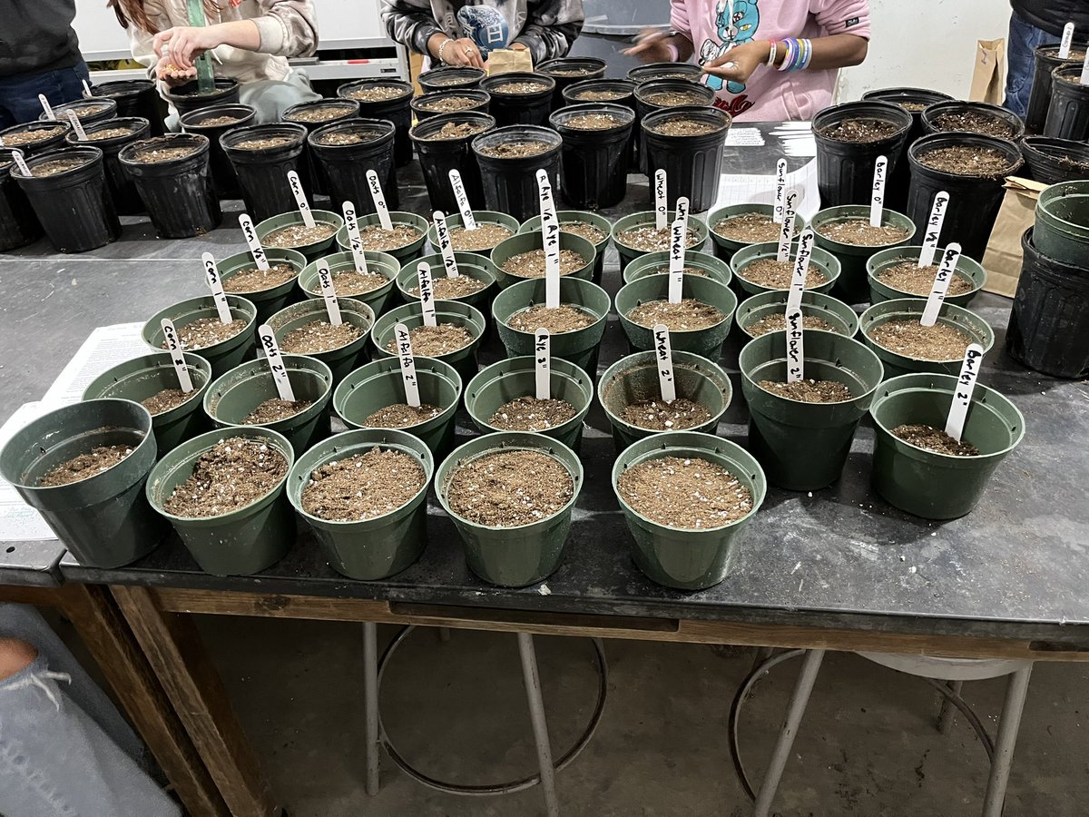 Grace Flusche Ogden tweet media