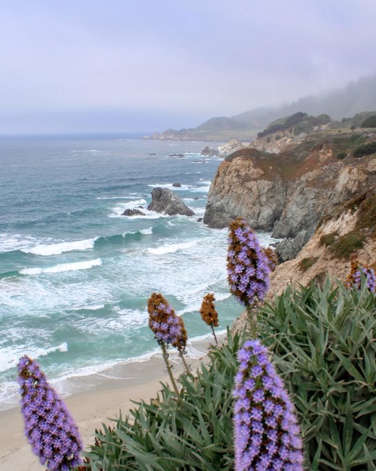 The place where the dream journey begins.