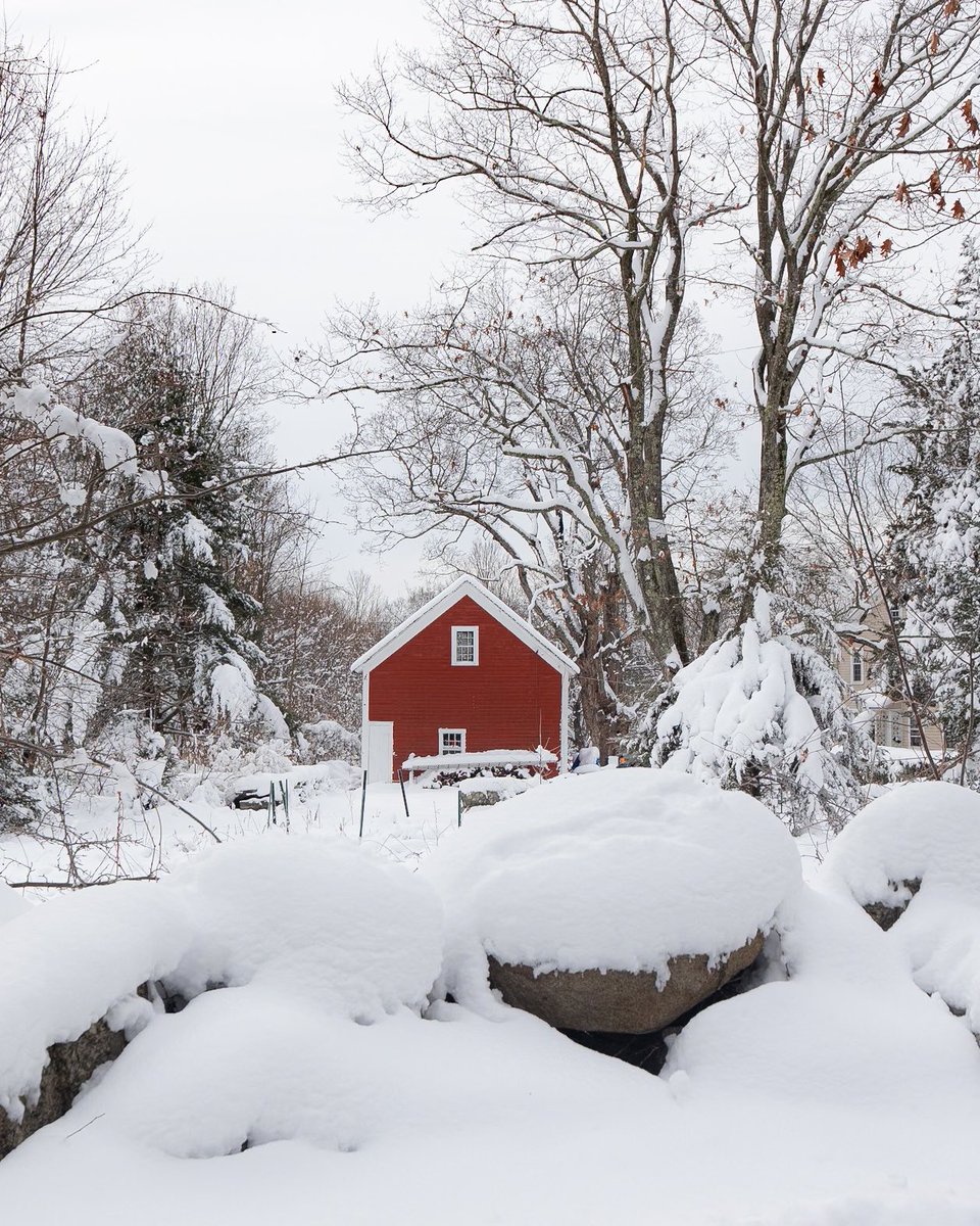 evanguarino's tweet photo. Last week’s #winter wonderland 📸❄️ https://t.co/kEDapOqSP0