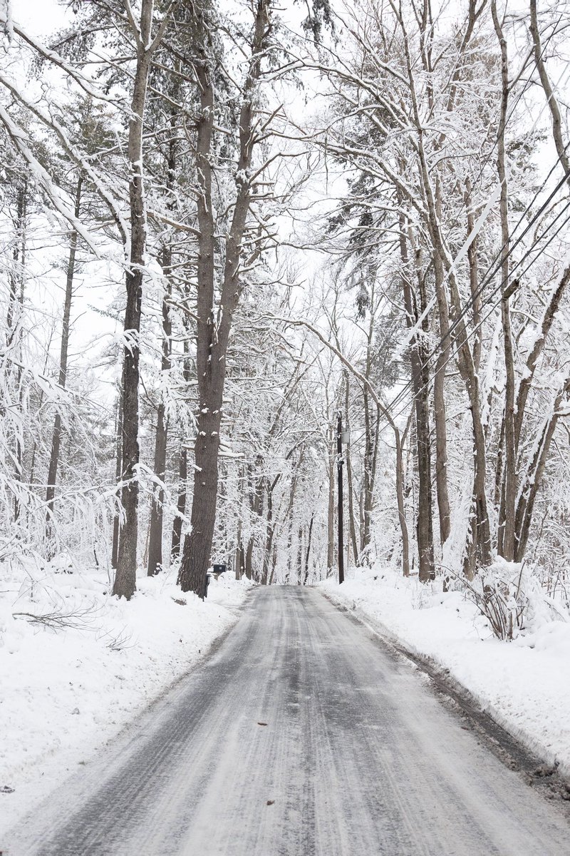 evanguarino's tweet photo. Last week’s #winter wonderland 📸❄️ https://t.co/kEDapOqSP0