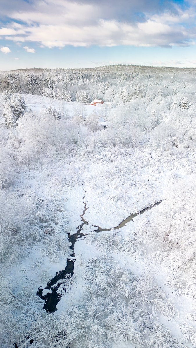 evanguarino's tweet photo. Last week’s #winter wonderland 📸❄️ https://t.co/kEDapOqSP0