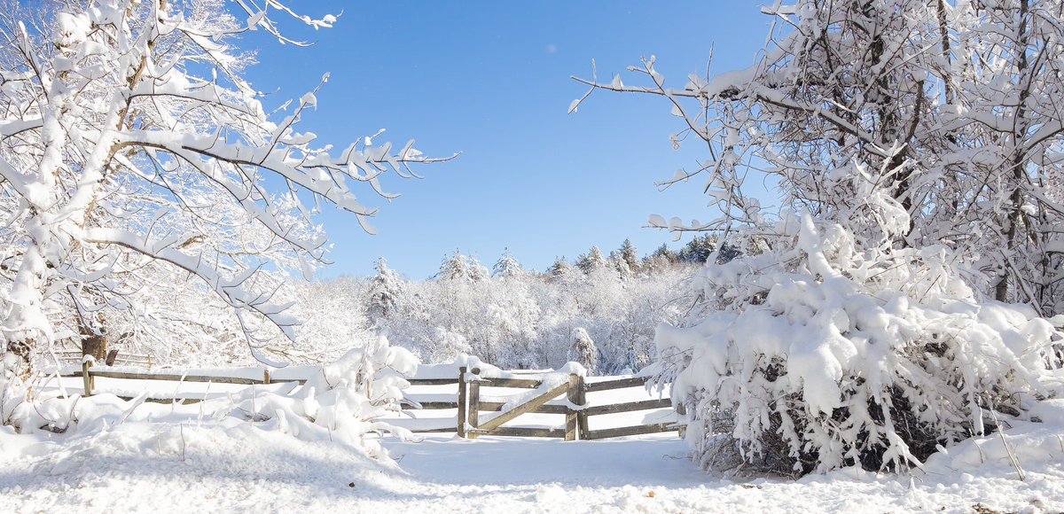 evanguarino's tweet photo. Last week’s #winter wonderland 📸❄️ https://t.co/kEDapOqSP0