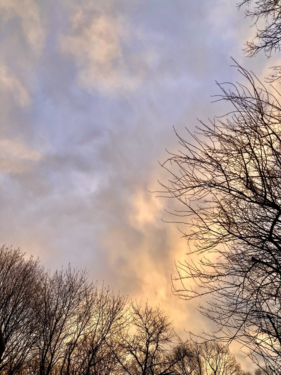 Allone34789's tweet photo. #NaturePhotography
#Naturephotography
#photography #Photography
#nature #naturelovers
#sky #tree #January
#outside #dusk
#cloudcolors
#clouds https://t.co/fjIbDmFFbV