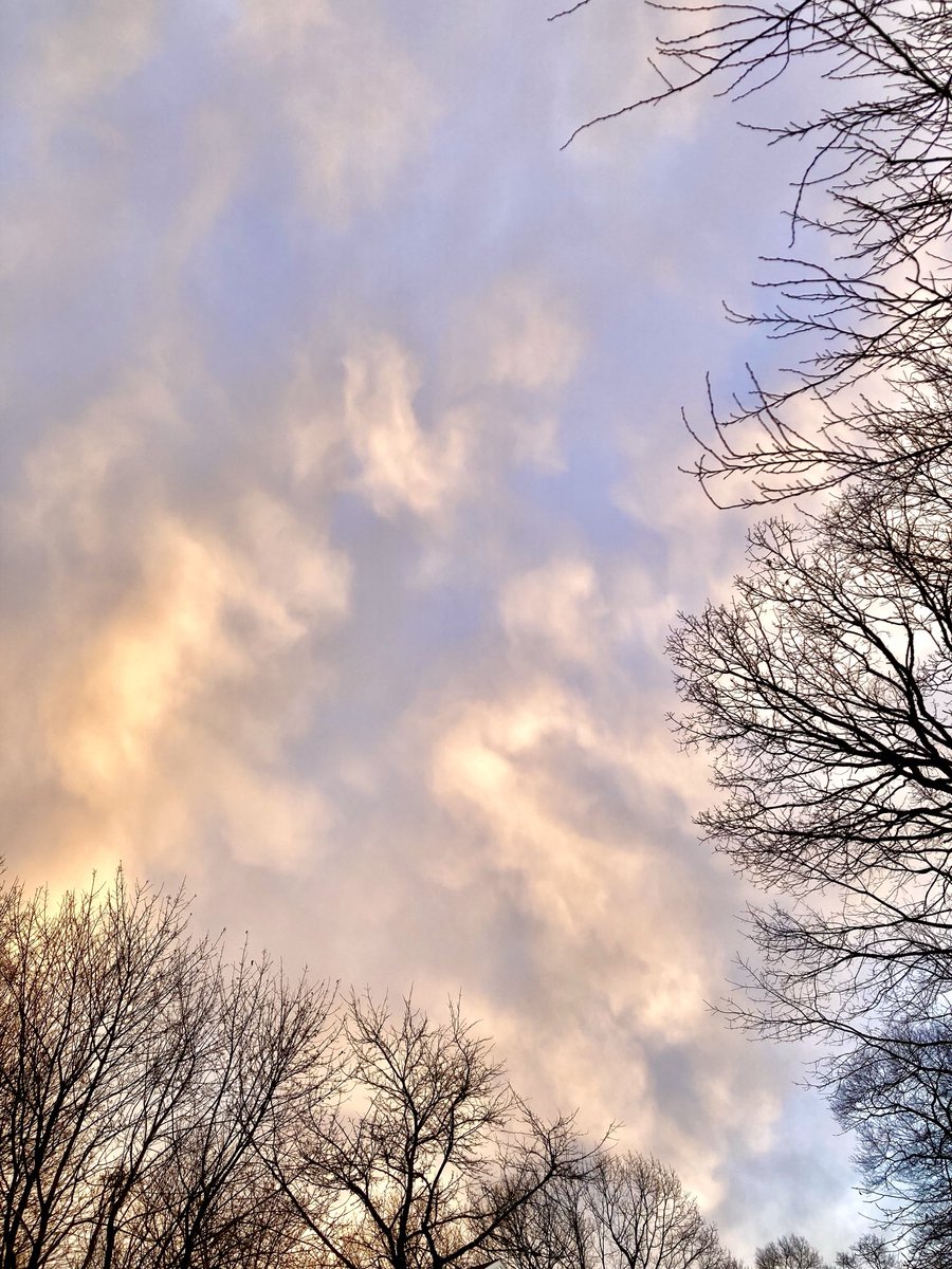 Allone34789's tweet photo. #NaturePhotography
#Naturephotography
#photography #Photography
#nature #naturelovers
#sky #tree #January
#outside #dusk
#cloudcolors
#clouds https://t.co/fjIbDmFFbV