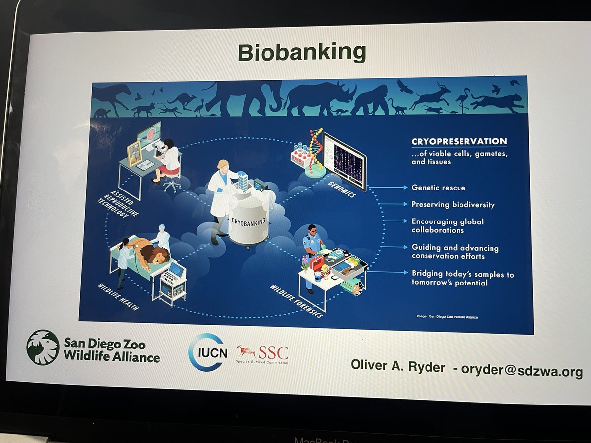 EBPJEDI's tweet photo. @genomewarriors @ASU @kerstin_howe @sangerinstitute @darwintreelife @ensembl @TerezaManousaki @HoggCarolyn @Alice_Mout @erga_biodiv @otago And @frozenzoo who gave an excellent talk on biobanking and bridging today’s samples to tomorrow’s potential https://t.co/WcdxnUpZMs