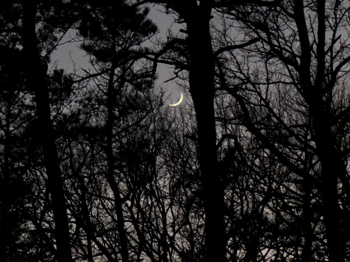 neiltyson's tweet photo. Moments ago I captured the Moon.
You can too, if you act real soon.

That sickle in the sky
We call waxing crescent.

Behold evening twilight.
Our Moon — luminescent. https://t.co/Mc3ZYzxsQF