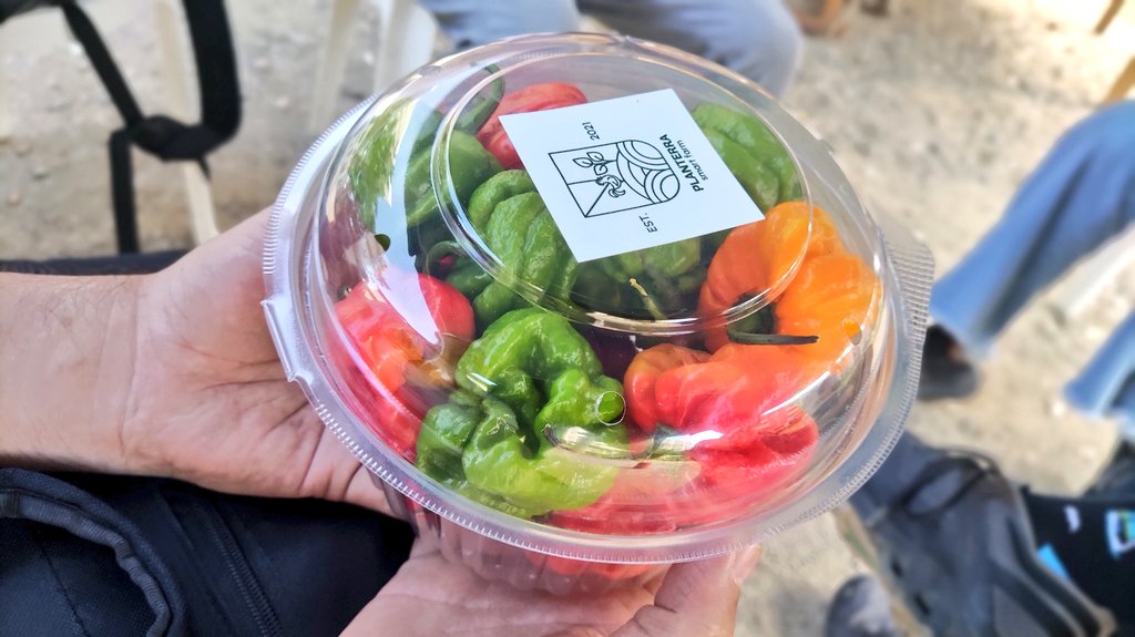 Corpoagrourbana's tweet photo. Ministra @jhoagaby conversó con Óscar Pereira, agricultor venezolano con más de 10 años de experiencia en el área. Actualmente, Pereira desarrolla una experiencia productiva en el estado Nueva Esparta. Posee cultivos de tomate y ají dulce y lechuga.
#AfirmativosAvanzamos 
#13Ene https://t.co/3nmtbNBlBo