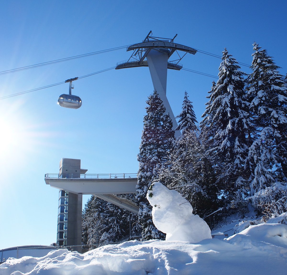 Portland Tram tweet media