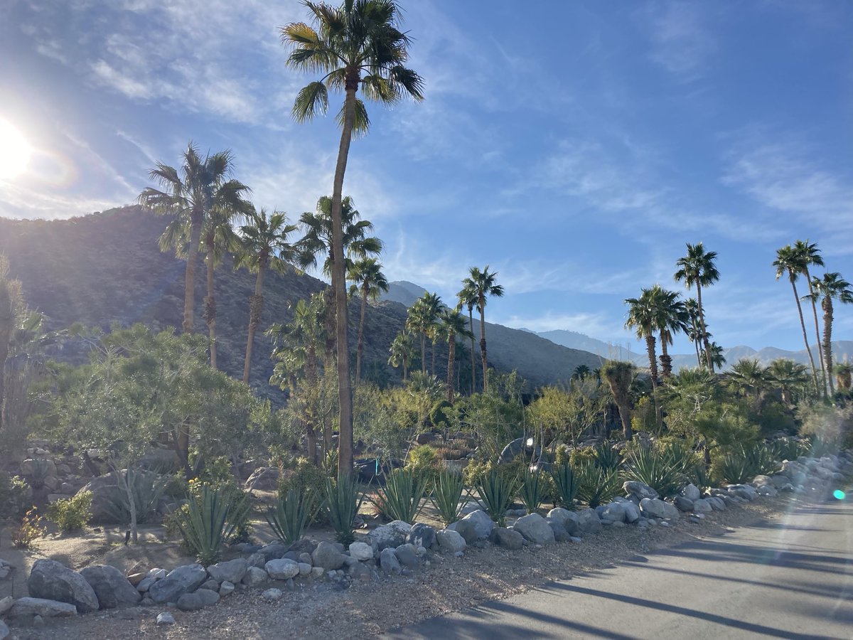 Loving Palm Springs and the PSIFilmFest