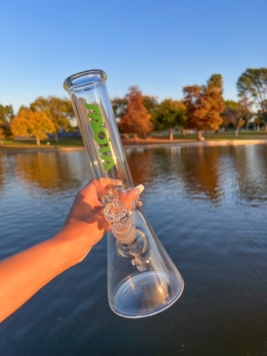 MOTA Glass tweet media