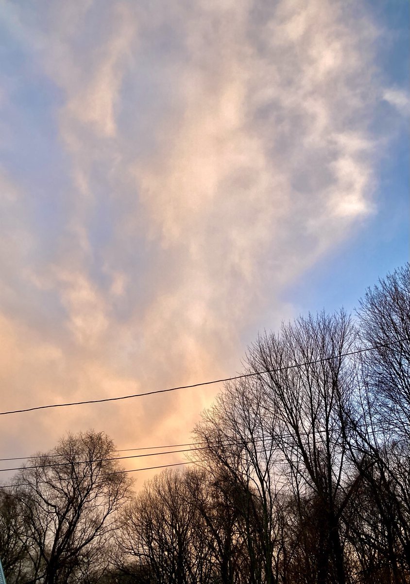 Allone34789's tweet photo. #NaturePhotography
#Naturephotography
#photography #Photography
#nature #naturelovers
#sky #tree
#outside
#cloud #cloudcolors
#dusk https://t.co/J3bvVK9lof