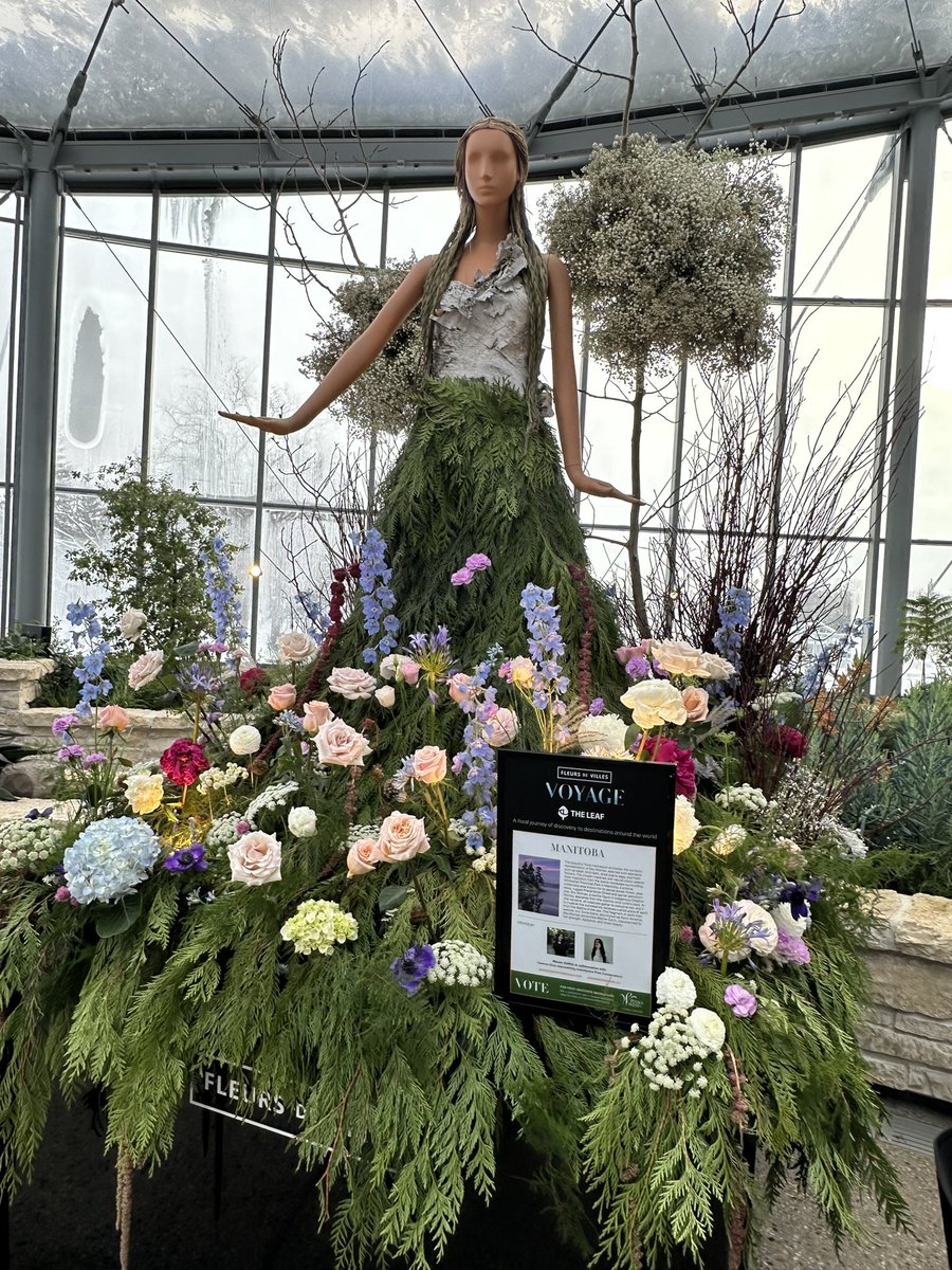 QPdawll's tweet photo. The fabulous Fleurs de Villes VOYAGE.
@assiniboine_park @fleursdevilles #assiniboinepark #theleaf #flowers #fleurs https://t.co/cTkD6emSOg