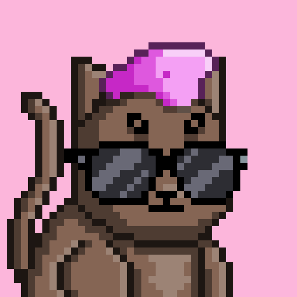 WebNinja tweet media
