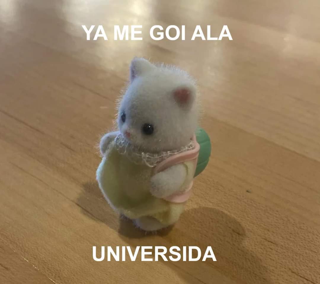 Hugo de los Valles Abajeños (@medidorderuidos) on Twitter photo 