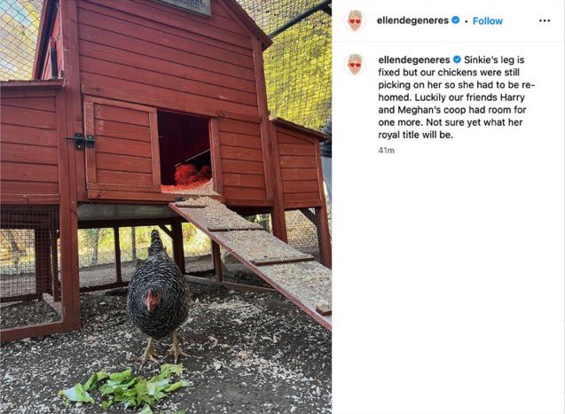 QueensSpeec1's tweet photo. WHY ARE ALL OF THE ANIMALS INVOLVED WITH #EllenDeGenerate &amp; #DumbPrinceAndHisStupidWife
ALWAYS INJURED??? WHAT HAPPENS TO THESE ANIMALS? #MeghanMarkleAmericanPsycho
#HarryandMeghanAreLosers
#MeghanMarkleIsAConArtist #FlopGunHarry #BunkerHarry https://t.co/Ob3Y8TXXJI