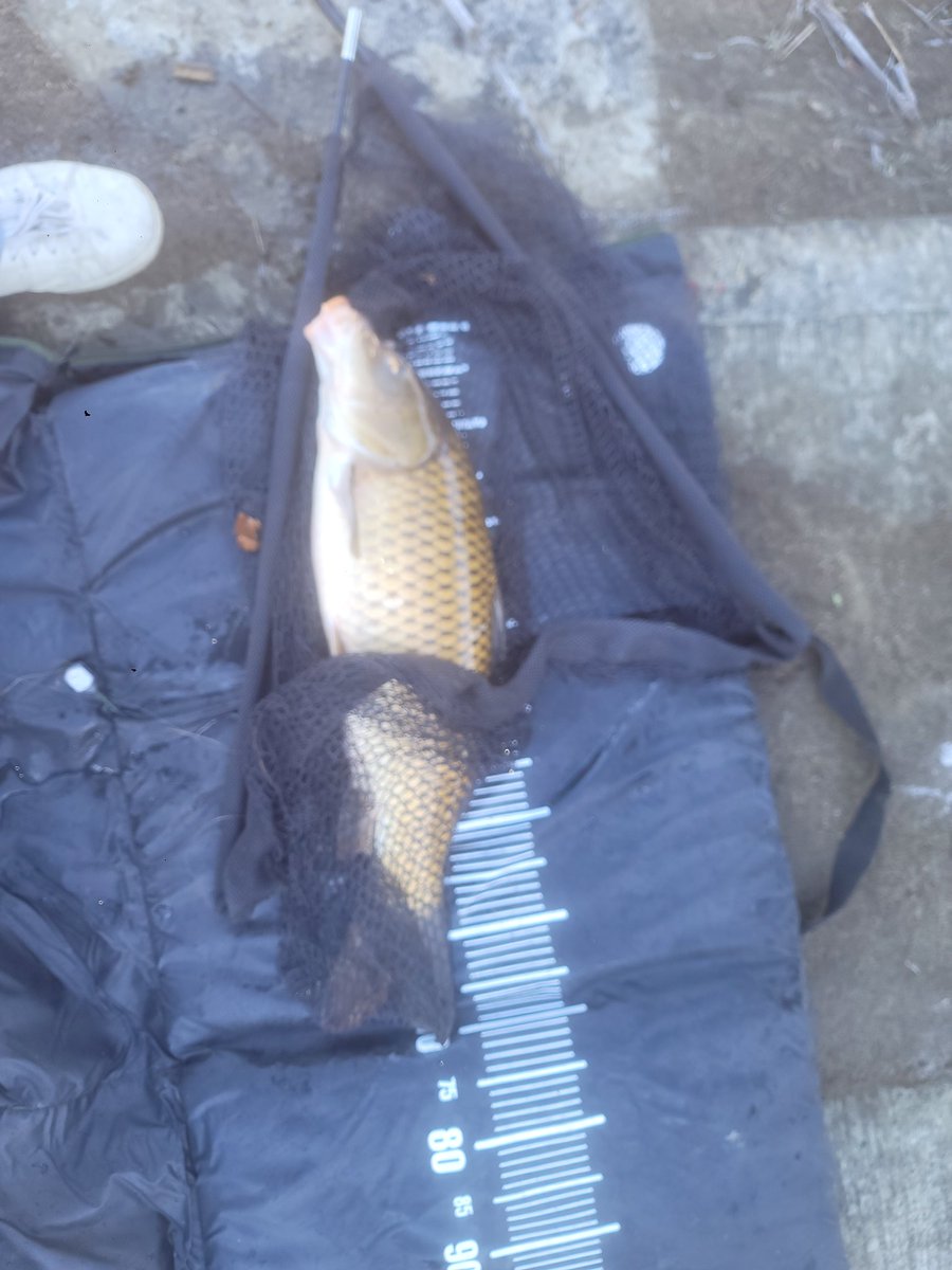 実家の近くのダム湖で待望の1匹❗笑
ありがとー✌️✌️✌️