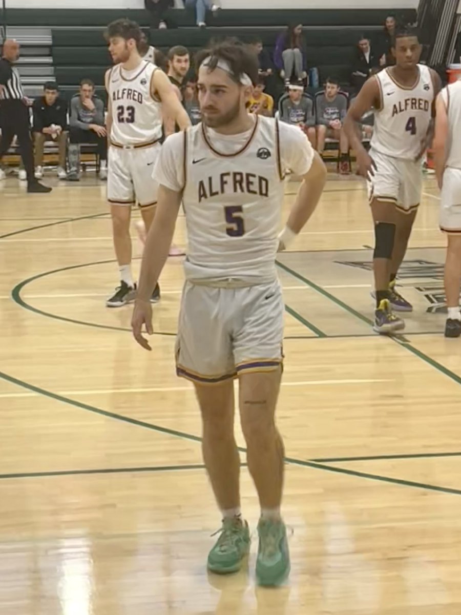 Adirondack Wild tweet media