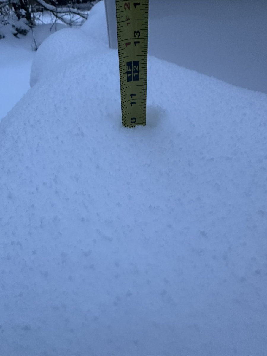 pmumbower's tweet image. Snow is slowly pilling up in Vicksburg down toward the St Joe county line. @weathermankeith @ellenbacca #wmiwx