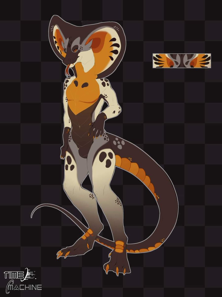 TimeMachinepup's tweet photo. I made some cool adopts on Tofu93 base

2️⃣0️⃣ or mixed are kk! https://t.co/kDXNlEAN8t