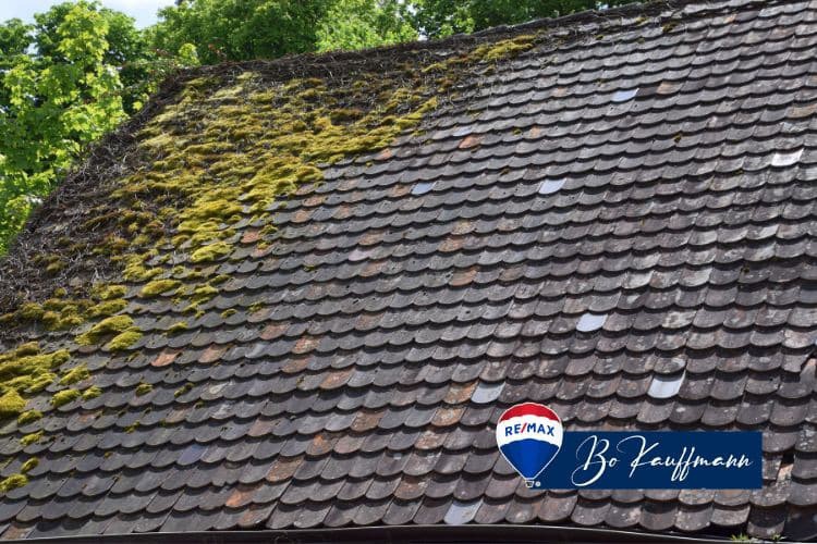 🪟🕳️ Let there be light! But not through your roof. Find out how to prevent pesky leaks and keep your attic a bright and dry space for all your storage needs. #RoofingMaintenance

Read more 👉 boknows.homes/1d83a130

#HomeImprovements #Roofing #HomeRenovations