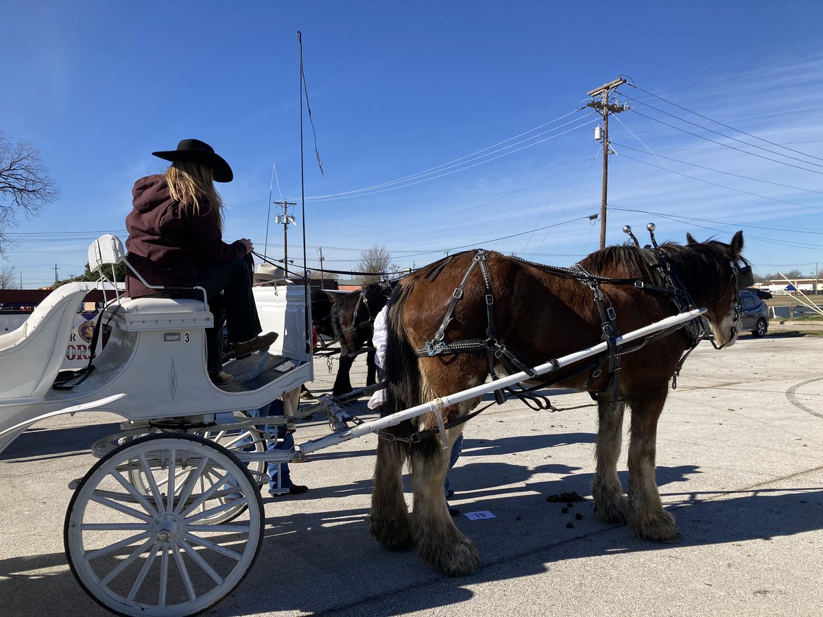 Our first time being in the Ft Worth Stock Show and Rodeo Parade😊