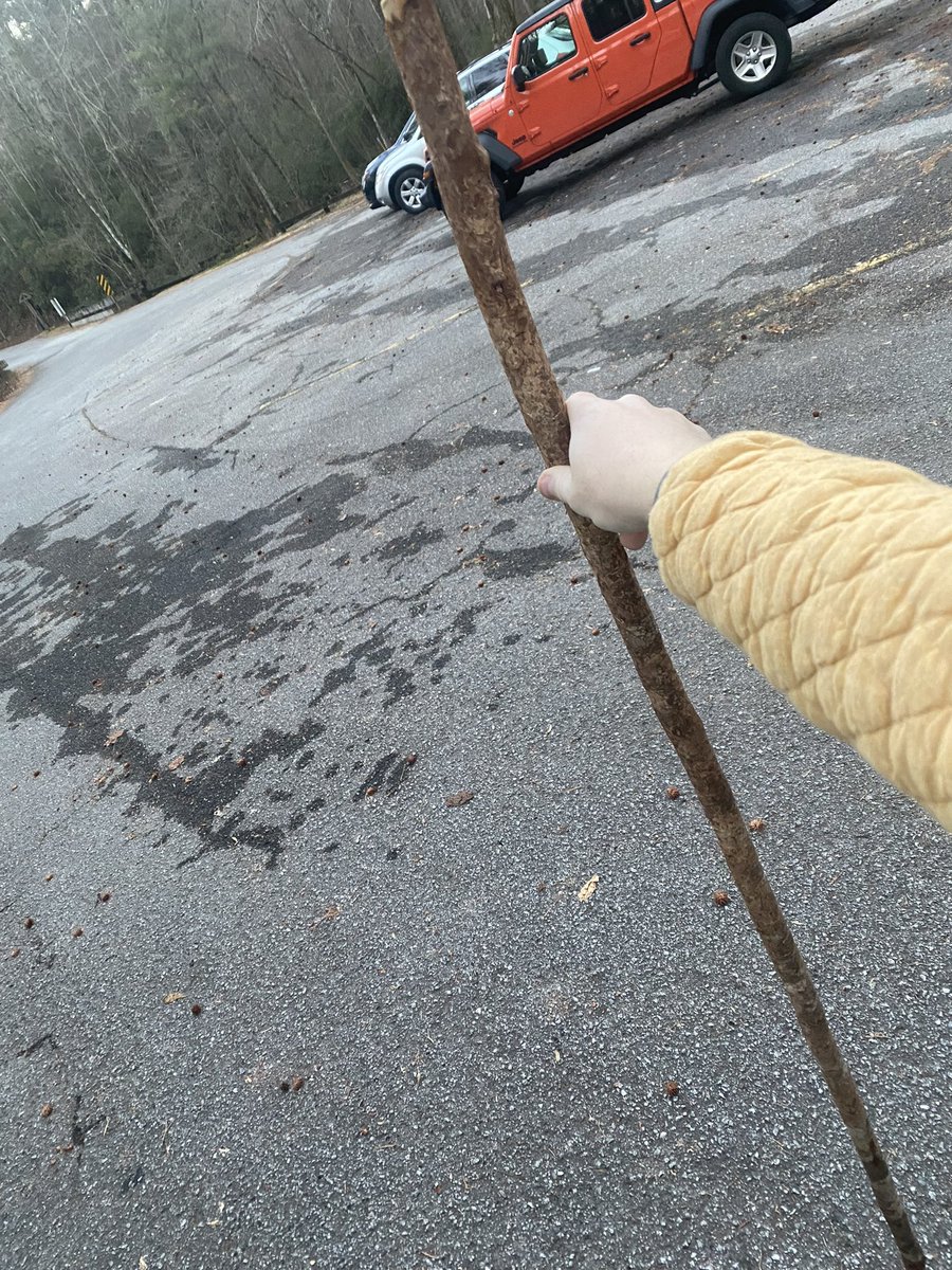 Hic Sunt Leones tweet media