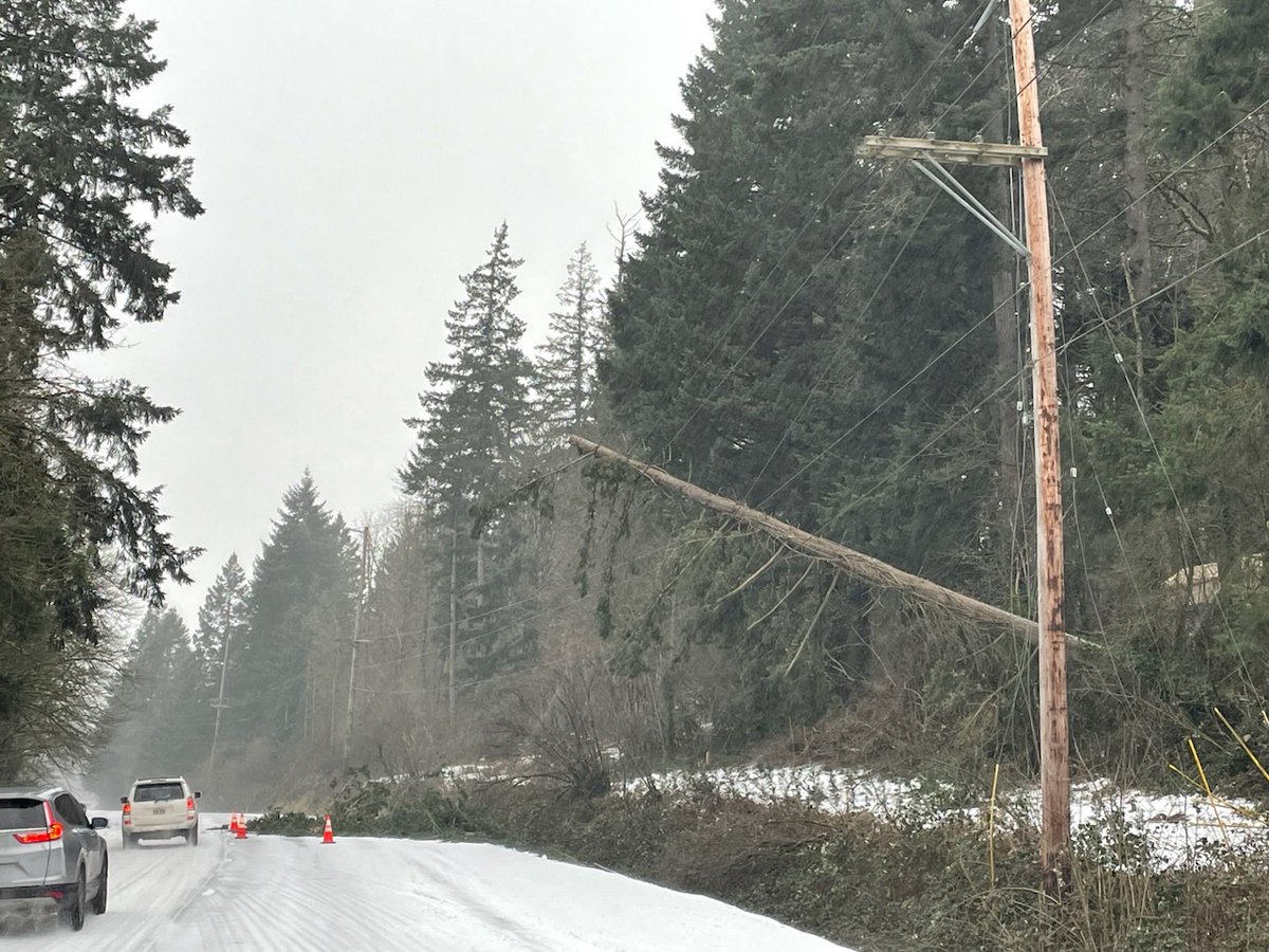 OregonDOT's tweet image. OR 99W, is closed 3 mi. south of #SherwoodOR at MP 19, due to a downed tree being held up by power lines. TripCheck.com for updates. 

#orwx #pdxtst #PDXtraffic