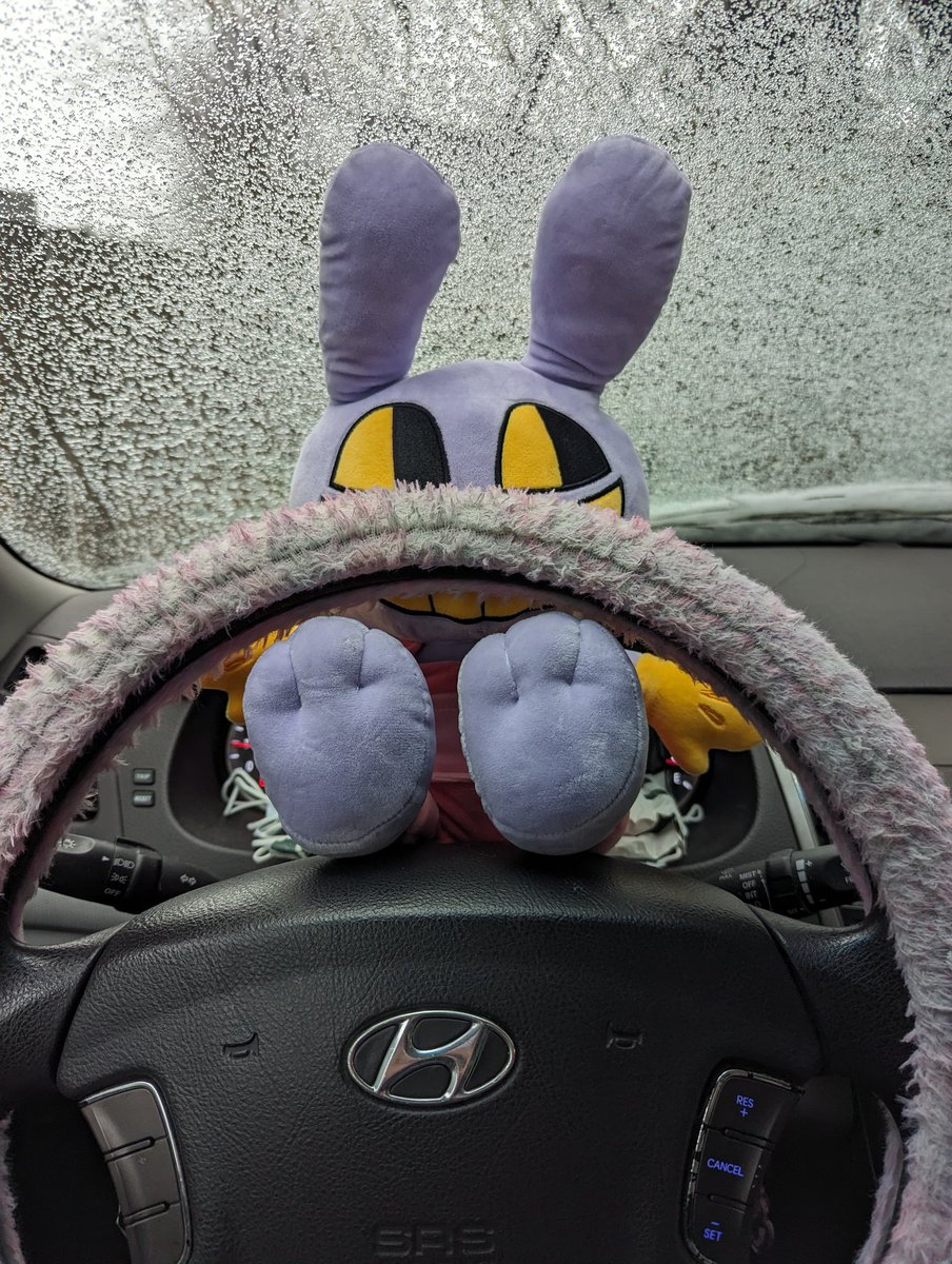 bunnaby's tweet photo. we have moved to the car 💛 https://t.co/G499OBtTZM
