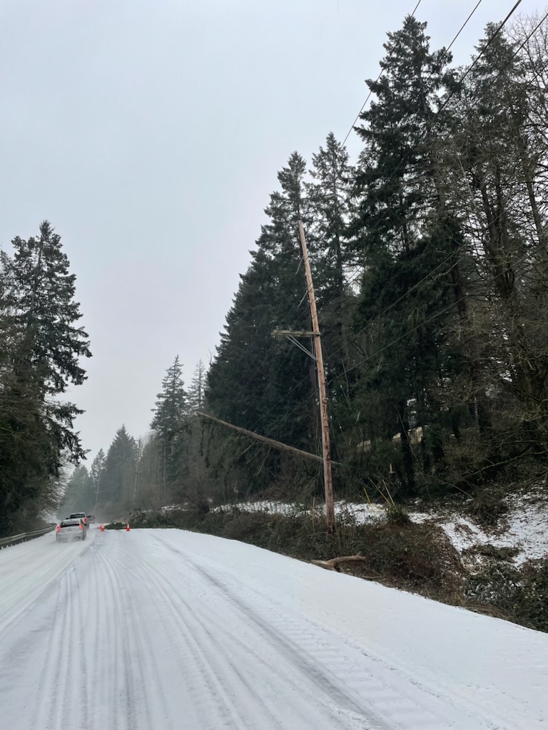 OregonDOT's tweet image. OR 99W, is closed 3 mi. south of #SherwoodOR at MP 19, due to a downed tree being held up by power lines. TripCheck.com for updates. 

#orwx #pdxtst #PDXtraffic