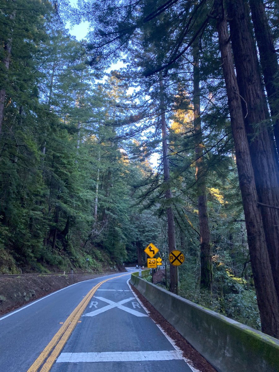 theodwf's tweet photo. @SFBART Day 6/6: Santa Cruz -> Berryessa BART -> Berkeley

Our final day was exhilarating as we wove our way through the Santa Cruz mountains on Highway 9. The air was crisp as we descended into San Jose and biked to Berryessa BART. What a feeling it was to arrive back home. https://t.co/z6dTfOoipN