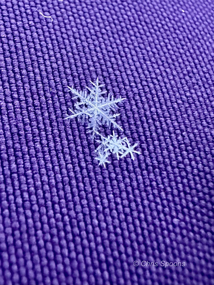 Of the many snowflakes that have fallen over the past few days around Chicago, here are some of them. They look so cute and innocent by themselves! 😂