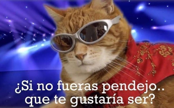 biciclotimia's tweet photo. Psicólogo: Tienes que empezar a hablar contigo mismo para que descubras quién eres y quién quieres ser

Yo: https://t.co/hjYbfgg7Xn