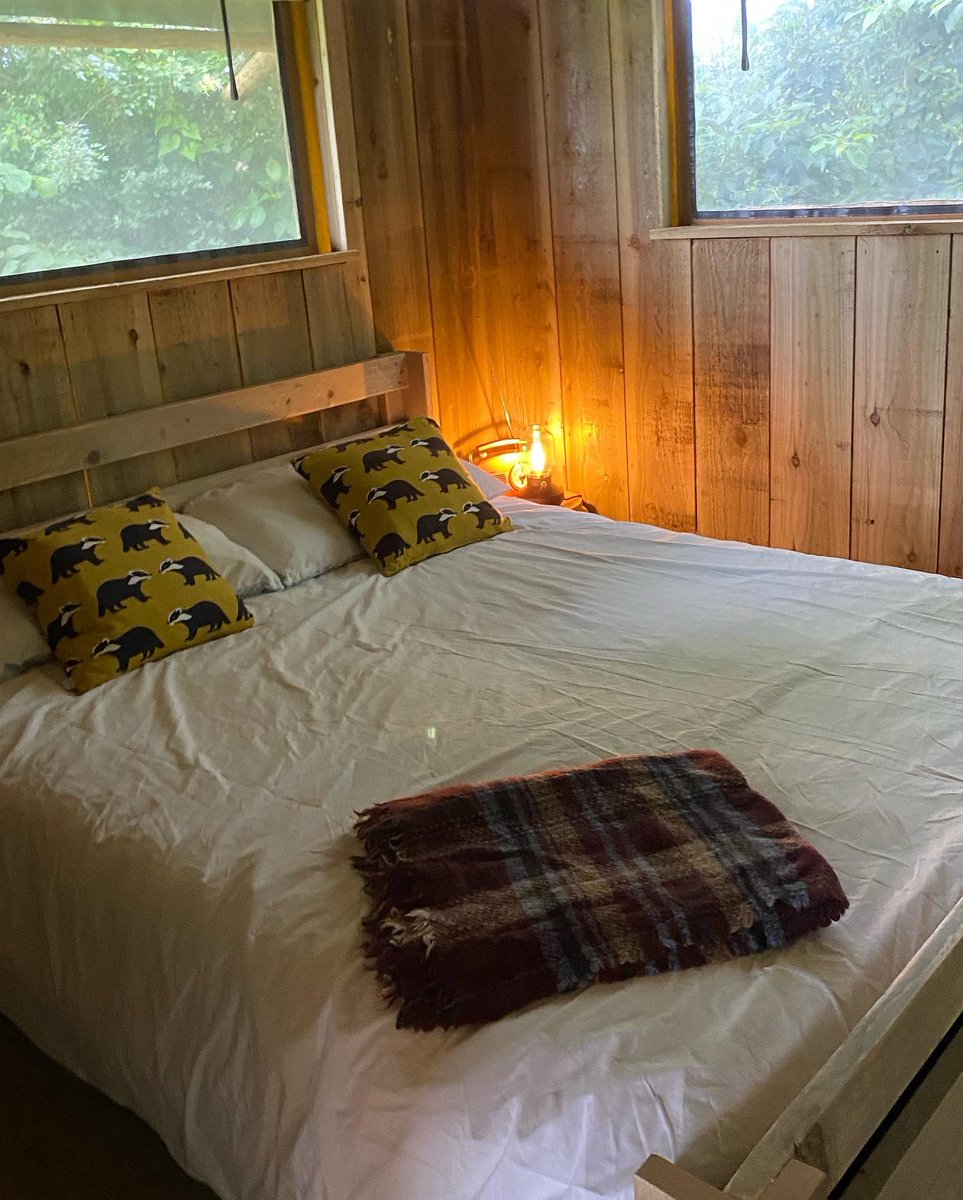 leafyfieldsglamping tweet media
