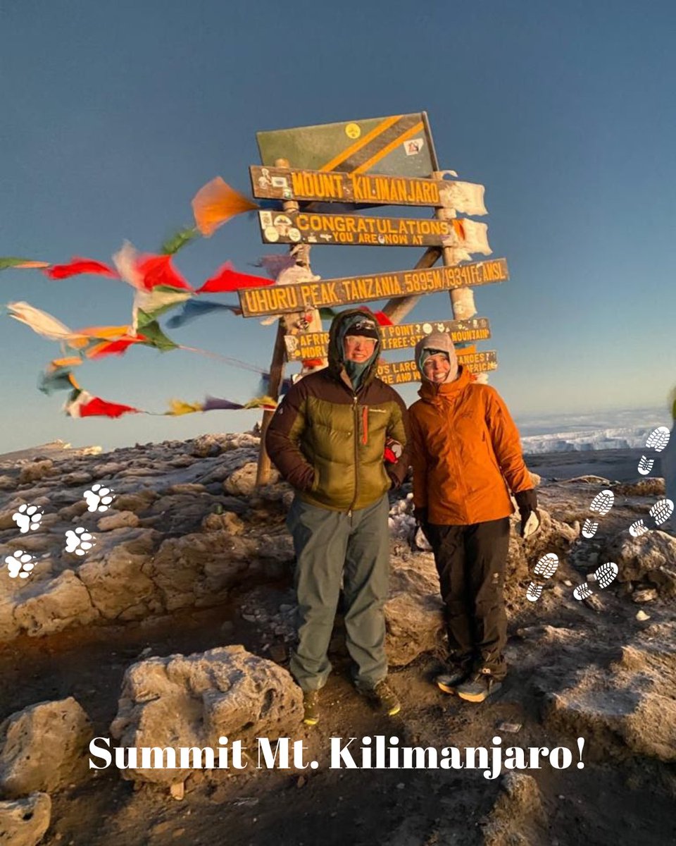 Pristinetrails's tweet photo. As we lean into the New Year we ask you 2 dream with us, for in those dreams lie 🗺️ to the extraordinary &amp; 1sr few scenes of your next adventure. 

Will this be the year that u journey 2 E. Africa on your 1st safari 🐘🦁, stand on world's highest🗻 - Kilimanjaro, visit Zanzibar? https://t.co/kHAztnuJ4h