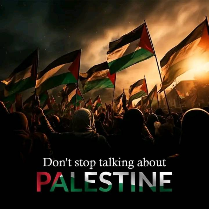 PalestineCultu1's tweet photo. DON'T STOP TALKING ABOUT PALESTINE https://t.co/bNr6LiEw30