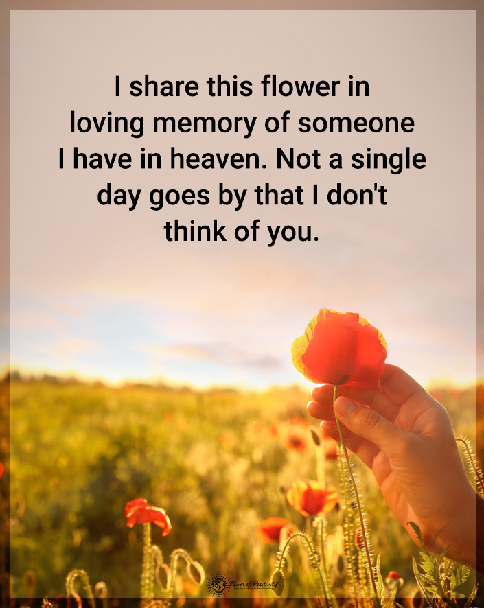 The Mindfulness Meditation Institute tweet media