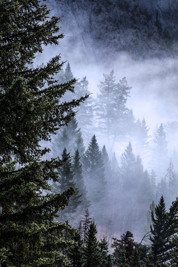 Exposure tweet media