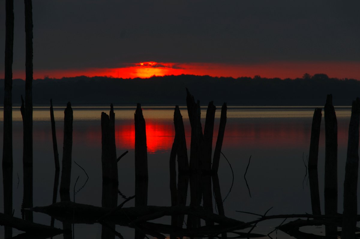 RefocusMarket's tweet photo. A #sunset like this is a photographer's dream. At Refocus, we encourage you to find these moments of wonder and capture them forever. 

Photo by the Refocus Community.

#refocus #refocusmarketplace #refocuscommunity #photography #photographer #camera #usedcameras https://t.co/kgkrpFrY1i