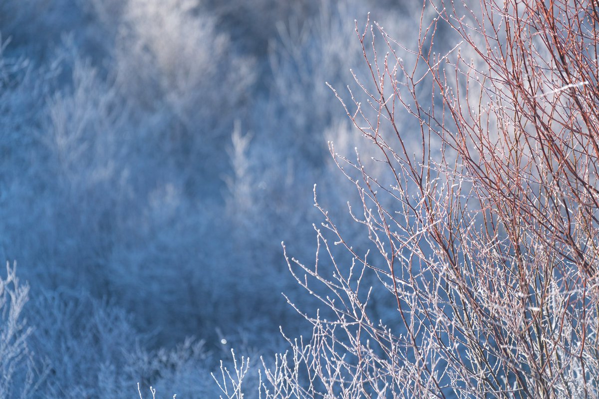 A Radzikowska tweet media
