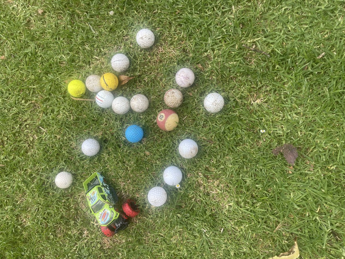 tauhenare's tweet photo. I can understand finding Golf Balls, I can understand an old Toy but a #PoolBall? Amongst the Agapanthus. https://t.co/7PrfmlYcJU