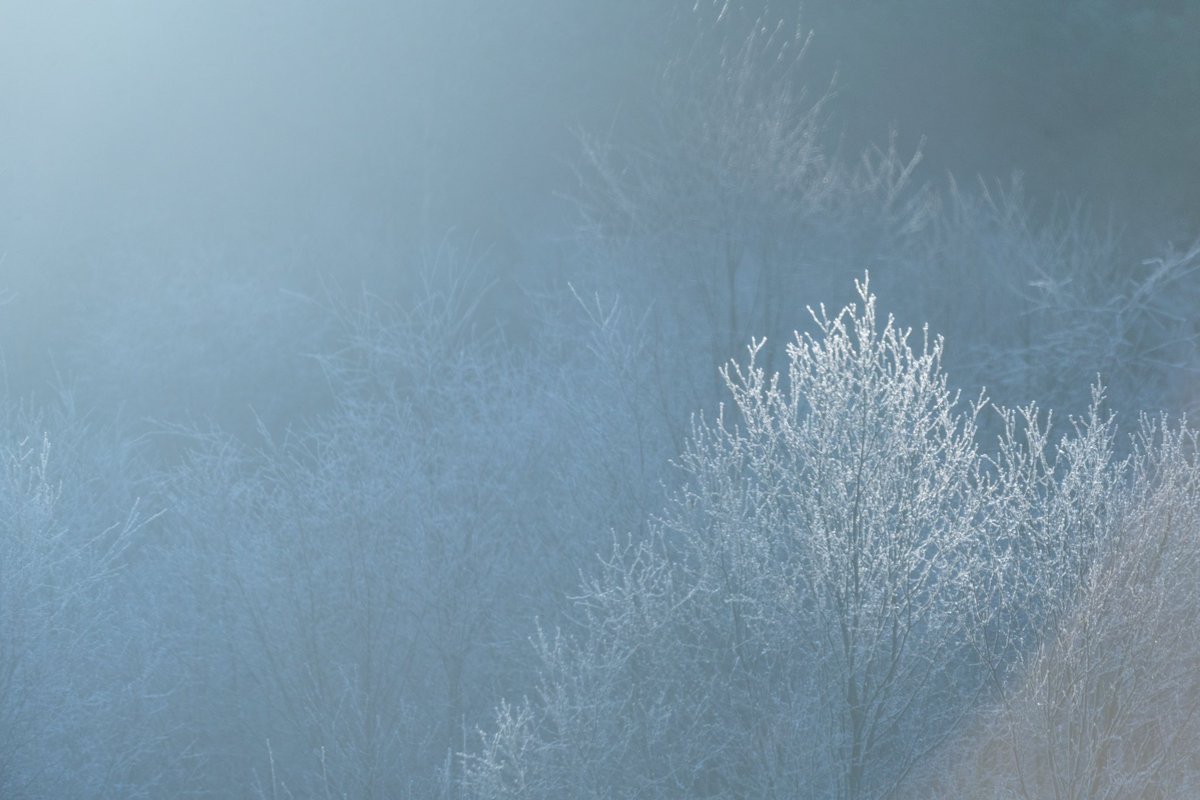 A Radzikowska tweet media