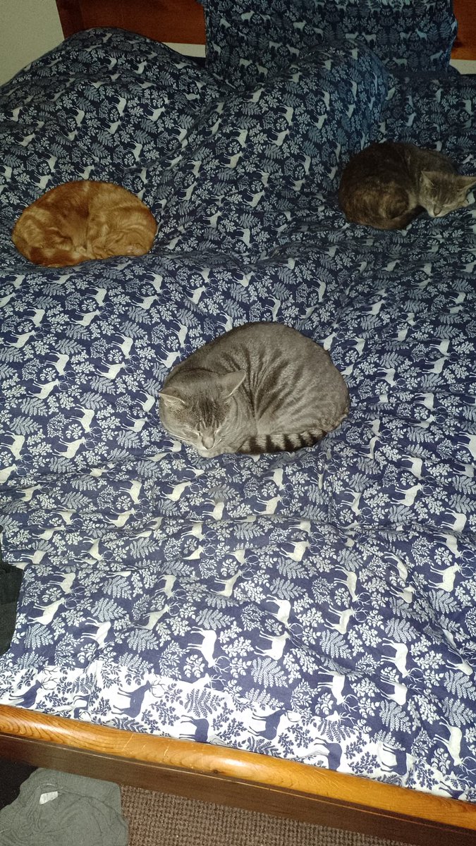 Well, I was going to go to bed, but...