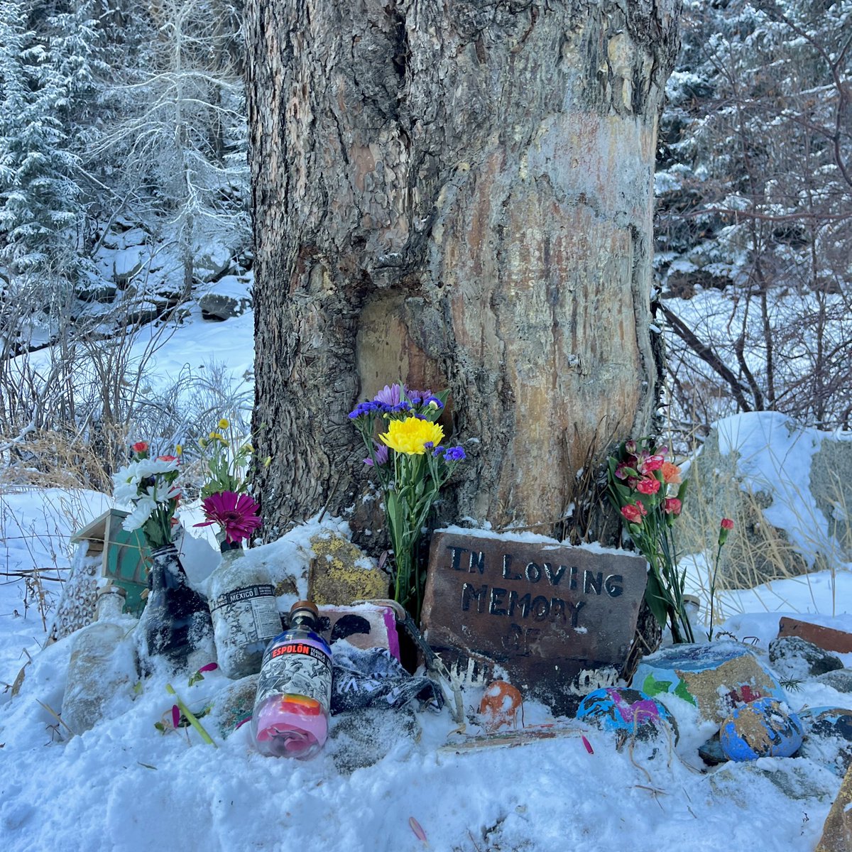 CUBuffsWLax's tweet image. #JS15 ❤️