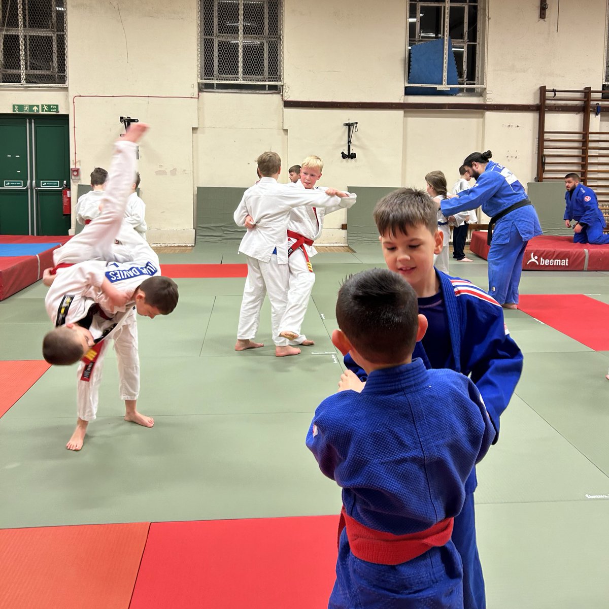 JudoSwansea tweet media