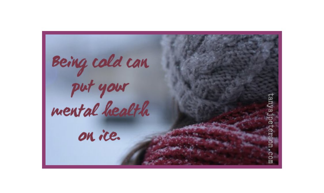 Sasha's Project tweet media