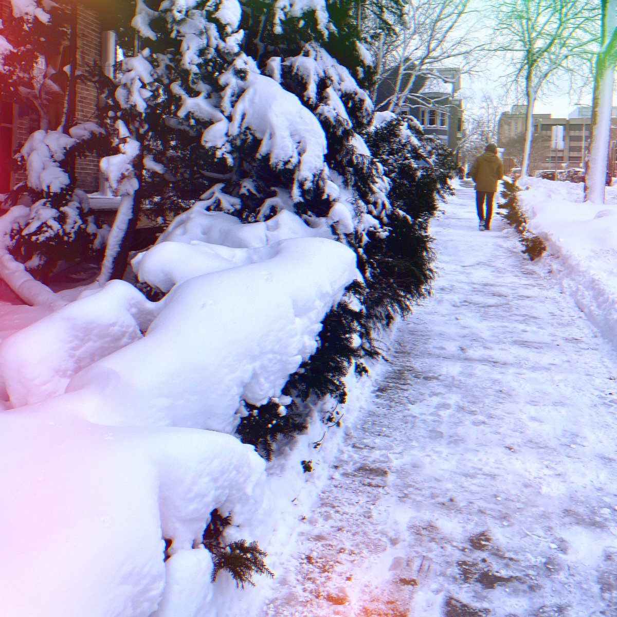 Motion Dance Collective tweet media