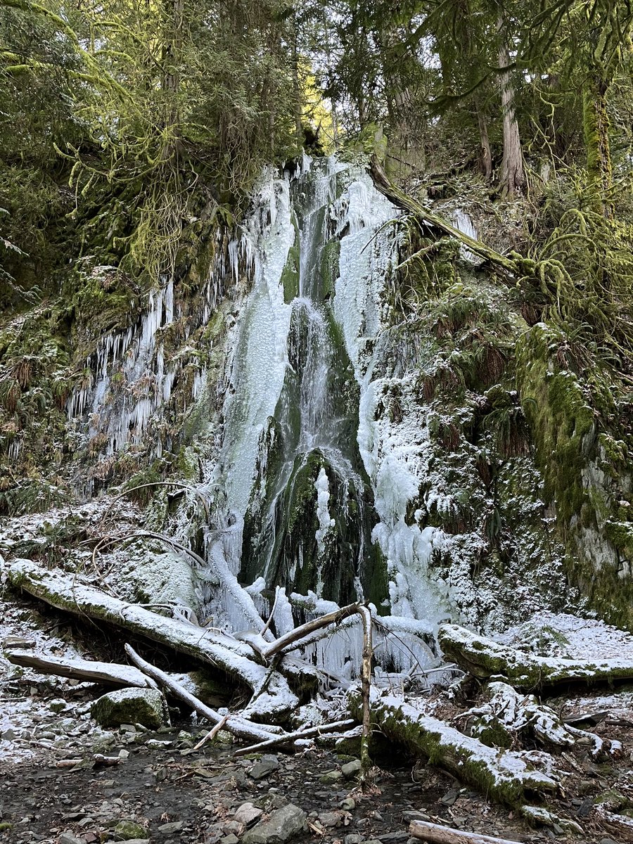 mamaadvocate1's tweet photo. Winter walk at #Goldstream Park https://t.co/DBrPTapr2F